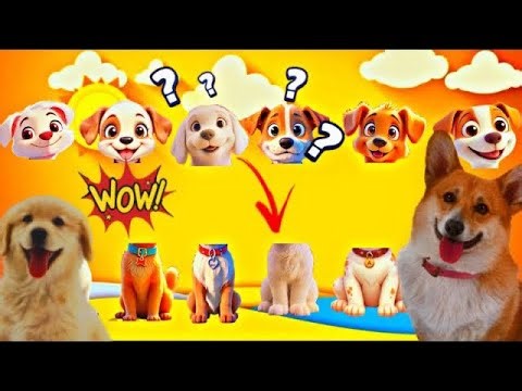 How Dogs Changed Humanity Forever