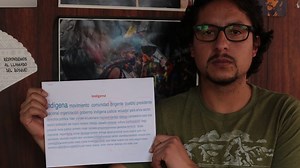 “The term ‘indigenous’ is being represented from an institutional and State perspective”