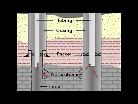 What are the Types of Well Completions (Liner, Single, Dual & Multiple)?