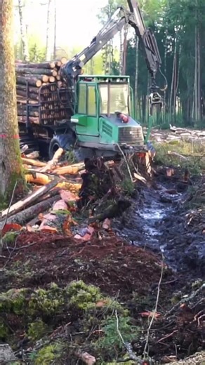 John Deere Logging Beast: Massive Timber Loading in Action!