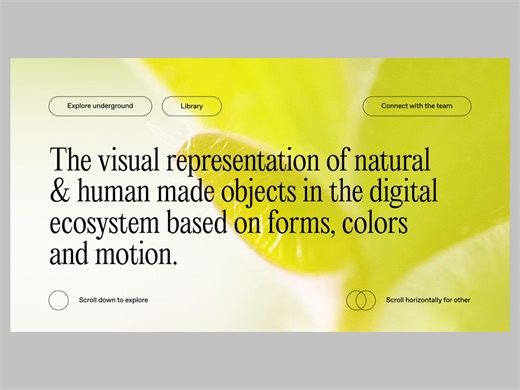 Web Navigation Animation