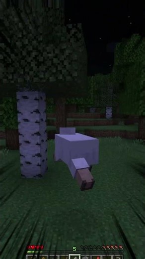 MINECRAFT PERO ME CONVERTI EN OVEJA 7 #minecraft