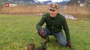 Entenjagd