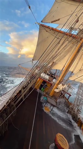 Sailing Adventures with Bark and Drake