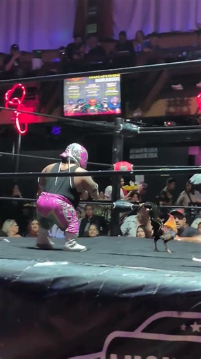 Micro-Man vs Rooster | Tijuana Las Pulgas #luchalibre #TJ #Tijuana #laspulgas #micro-man #mexico