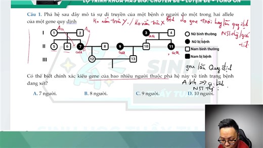 💥BÀI TẬP PHẢ HỆ - P1 >> 2K8 học lại từ đầu | Sinh Thầy Tuấn