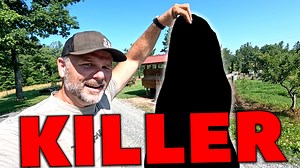 22K views · 483 reactions | Predator Strikes the Farm! I just couldn't believe it! One minute everything was fine..the next! STRIKE! #chickens #backyardchickens | Stoney Ridge Farmer | Facebook