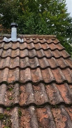 Roof Moss Removal