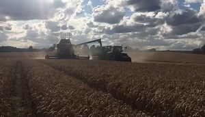 1.7K views · 61 reactions | Newholland CX8.85 out on demo during the week. | M & S Machinery Main Newholland Dealer | Facebook