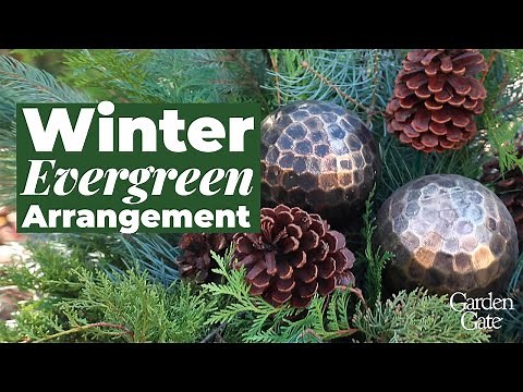 Winter Evergreen Arrangement 🌲 DIY Spruce Tip Porch Pot