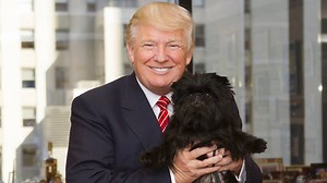 58K views · 66 reactions | Before he became "top dog", Donald J. Trump posed with five 'Best in Show' winners at Trump Tower. Will he continue this tradition in the White House? | Yahoo | Facebook