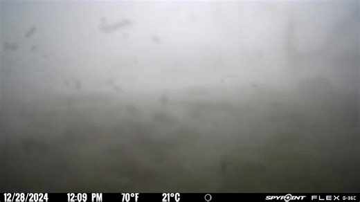 Trailcam battered by tornado winds