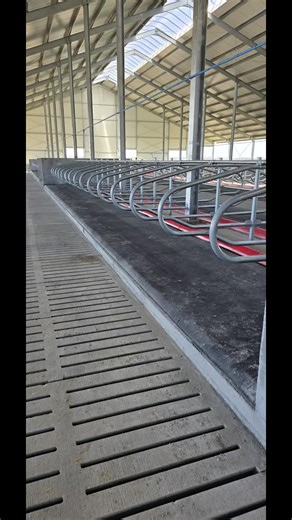 Innovative Cow Dairy Farming in Poland