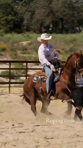21K views · 2.8K reactions | Here’s the biggest mistake Wesley Thorp sees heelers make  Catch more of these quick tips in Roping.com’s 홏홧홖홞홣홞홣활 홎홚홨홨홞홤홣홨 홬홞황홝 홏홚홖홢 홍홤홥홚홧홨 홃홚홖홙홞홣활 황홤 홑홚활홖홨 2025 playlist  https://bit.ly/3LPTYT | Roping.com | Facebook