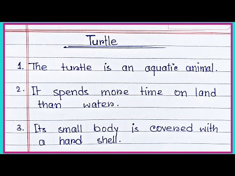 20lines Essay on Turtle 🐢 in English|| Paragraph writing on Tortoise in English|| Tortoise Essay