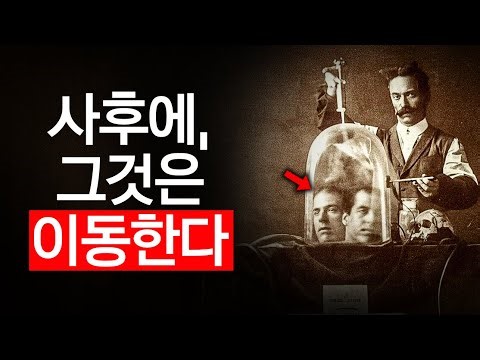 この 禁断の 科学記録は、意識が なぜ 決して 死なないのかを EXACTLY 明かす