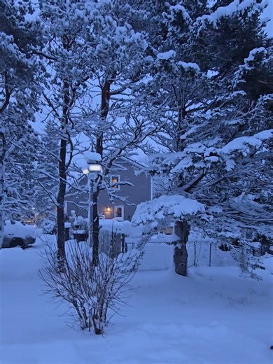 Yes I woke up and I'm transported to Narnia. I'm loving the view, but I don't want to go outside😬🎊☺️ 15 to 25cm of snow #pei #fyp #snowstorm #canada_life🇨🇦 #narnia