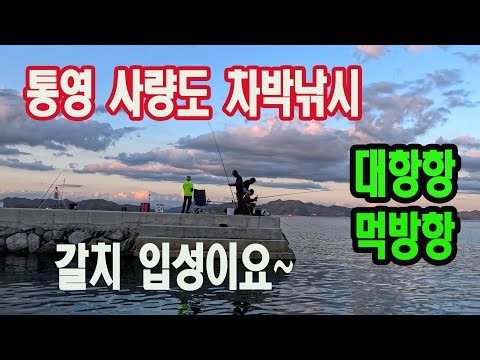 통영 사량도 차박낚시/갈치가 낱마리 보인다/갈치가 오고있다