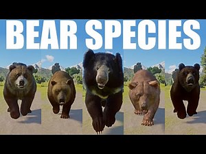 Bear Species Speed Races All MALES in Planet Zoo includes Eurasian Brown Bear etc