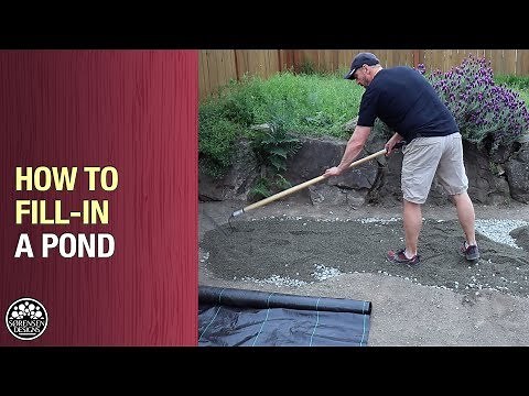 Before You Fill-in Your Pond, Watch This Video