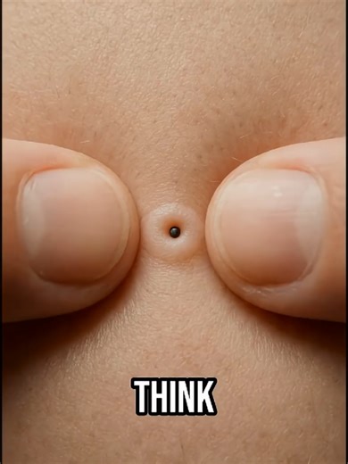 Understanding the Science Behind Locked Plugs