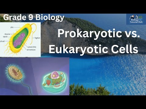 Types of Cells: Prokaryotic vs. Eukaryotic (Grade 9 Biology)