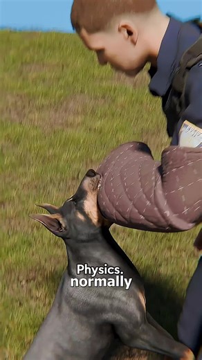 Exploring the Wonders of Physics