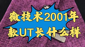 Microtech 微技术爪标超智UT 黑色铝柄 水滴头 手工拉丝表面、DLC表面 2001年老款