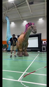 1.4K views · 62 reactions | Cha cha slide compilation #chachaslide #dinomania | Dinomania | Facebook