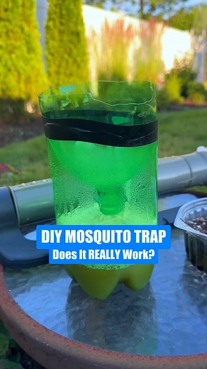 Testing a Homemade Mosquito Trap! Does It Actually Work? Tired of mosquitoes buzzing around? We put a viral DIY mosquito trap to the test to see if it actually works. Watch the results and decide for yourself! Have you tried this before? 💬 Comment below and let us know! #MosquitoHack #PestControlTips #mosquitocontrol #MosquitoFree #diy | Blue Duck Lawn Care