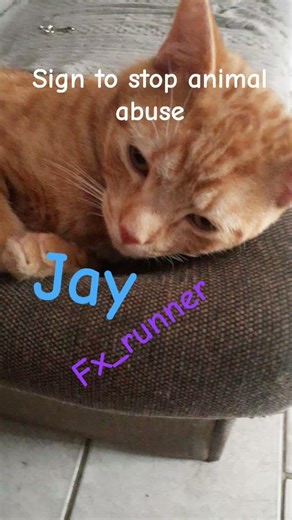 sign to stop animal abuse #music #neymar #minecraft #butifyoucloseyoureyes