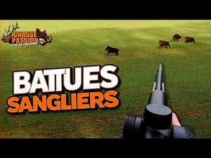 Wild boar hunt - Double bagging of wild boars and a huge miss at the stand!