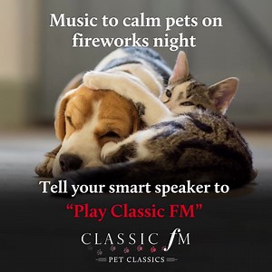 This fireworks season, calm anxious pets with Classic FM’s #PetClassics. 🐶🐱🦜🎶 | Classic FM