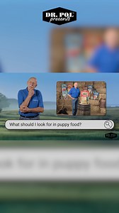 With so many options out there, choosing the right food for your puppy can be overwhelming! 😅 Don’t worry, Doc’s got some simple advice to help you pick the perfect meal for your pup! 🐶✨ | Dr. Pol Pets