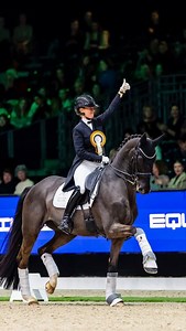 87K views · 2.1K reactions | We tested the @fei_dressage_ @fei_global noseband measuring device on Higgins just before warming up for the Freestyle @indoorbrabant last Saturday  Many of you found our story interesting so we decided to publish it here as a reel so you can watch the video again  From May on, this new tool will be used by FEI stewards at all international shows. | Pamfou Dressage | Facebook