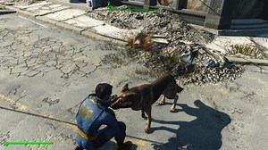 Pet - Call - Feed Dogmeat
