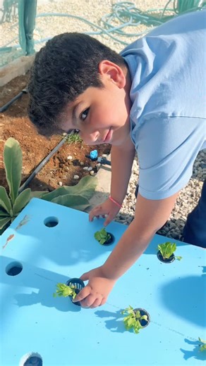 Duroub Academy on Instagram: "🌱💡Our Grades 5–6 students got hands-on with hydroponic farming! From understanding the science behind soil-free growing to helping set up and launch our very own hydroponic system in Duroub’s farm — they experienced innovation in action.🌿"