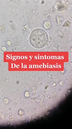 Cuentas recomendadas