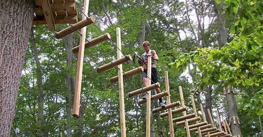 Your Adventure Begins Here! | The Adventure Park at Virginia Aquarium