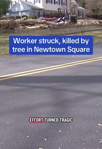 A worker was struck and killed by a tree late Tuesday morning in Newtown Square, Pennsylvania, police said. The unidentified man was doing work for a tree company along the 300 block of Earles Lane around 11 a.m. when a tree fell on top of him. He was later pronounced dead. “The tree that fell on the employee was unrelated to the work being done by the tree company,” a Newtown Township Police spokesperson wrote. The incident occurred after powerful storms swept through Philadelphia, the surround