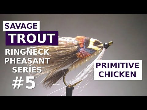Fly Tying the Primitive Chicken Streamer - Ringneck Pheasant Fly Patterns