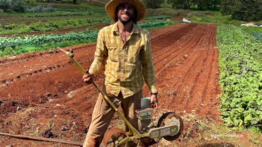 Local Harvest, LLC, established in 2011 by Steve and Ana Phillips on Maui, focuses on promoting sustainability and food security in Maui County by linkin tu g local farmers with consumers and businesses. The company collaborates with 50 to 60 Maui growers to provide fresh produce, herbs, honey, macadamia nuts, and packaged goods to over 60 wholesale clients, such as restaurants and stores, and operates at two farmers markets. Through initiatives like produce distribution, Island Fresh Delivery f