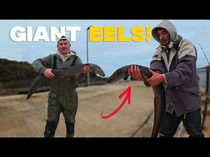 We Hooked MONSTER Conger Eels from the Pier (This Was INSANE!)
