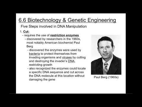 BIO 101 Chapter 6 DNA & Biotechnology Pt 2