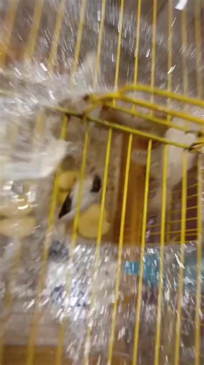 Discover the Best Strategies for Water Management