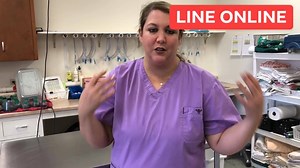 4.3K views · 30 reactions | Our LINE ONLINE this week arrives early for the holidays!  Our digital media Manager Derick Jones took a trip to Robinson's Rescue Low Cost Spay/Neuter to learn more about the clinic, their 2019 calendar (now for sale!) and Best in Sheaux.  | SB Magazine | Facebook