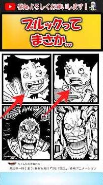 ブルックはデービーで確定？ #ワンピース #デービー #ブルック