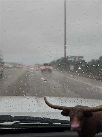 Arian Alaniz on TikTok