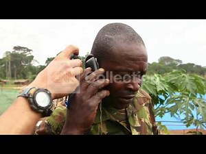 CONGO: ELEPHANT POACHERS ARREST