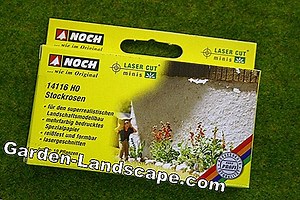 Care of the garden: Cut hollyhocks properly and hibernate - is Alcea rosea hardy? | 2025